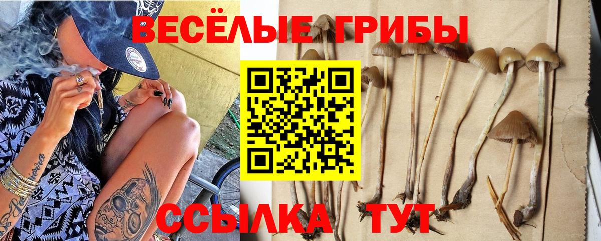 Галлюциногенные грибы мухоморы Железноводск